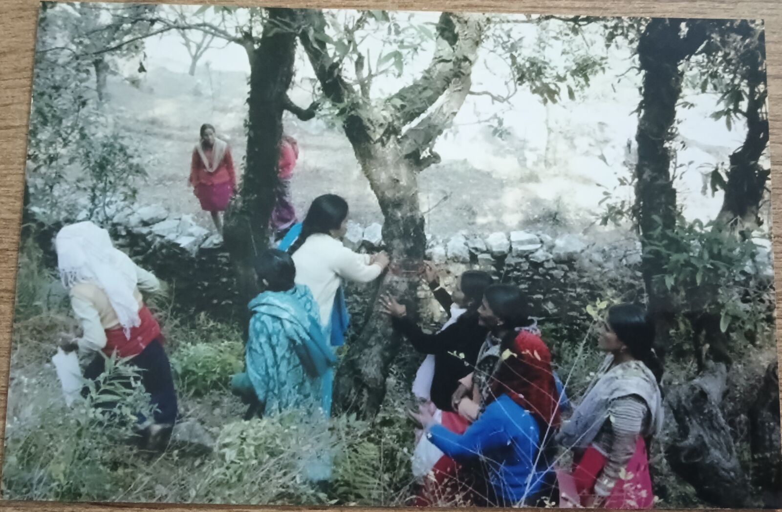 Women among the trees they protect